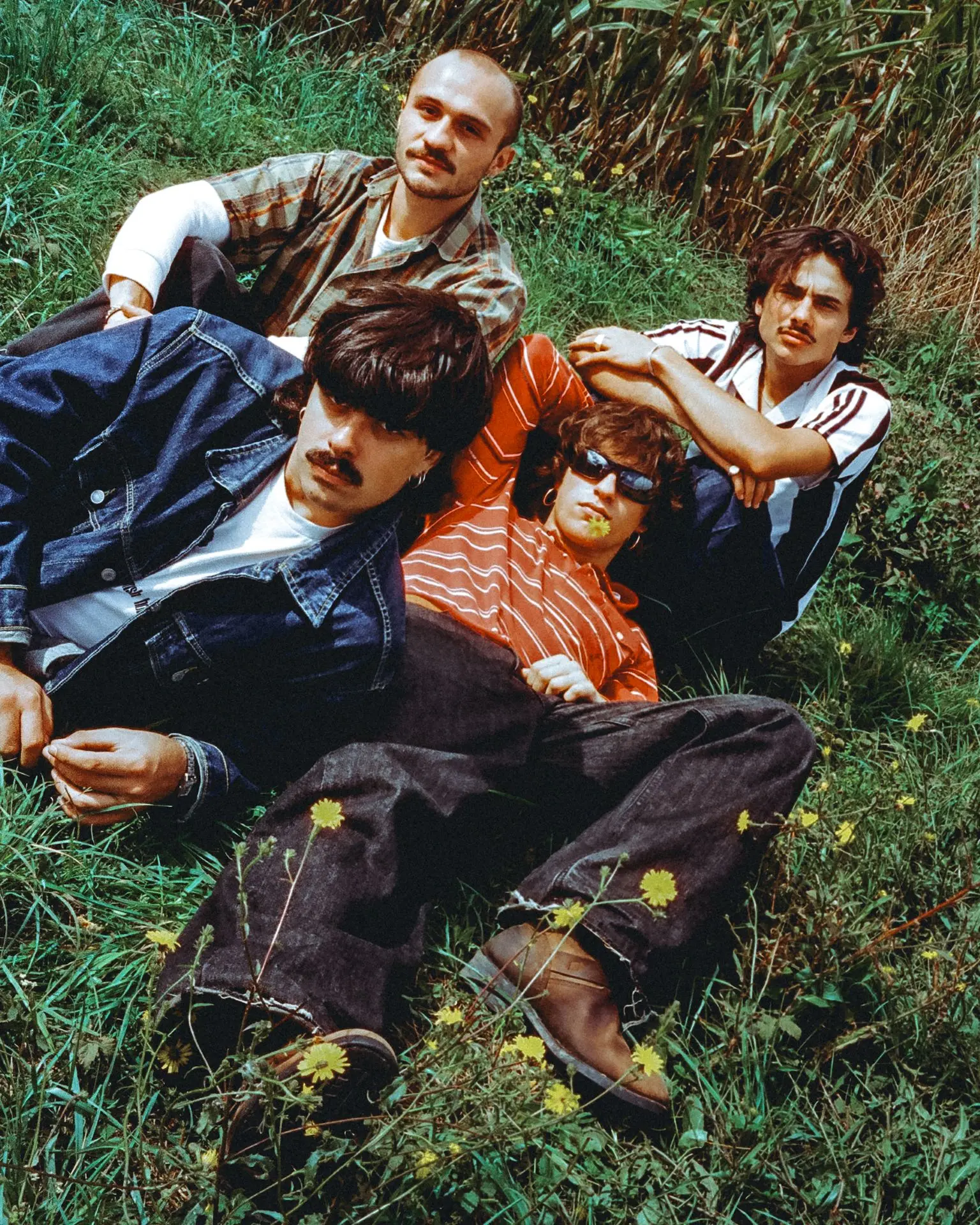groupe couché dans l'herbe