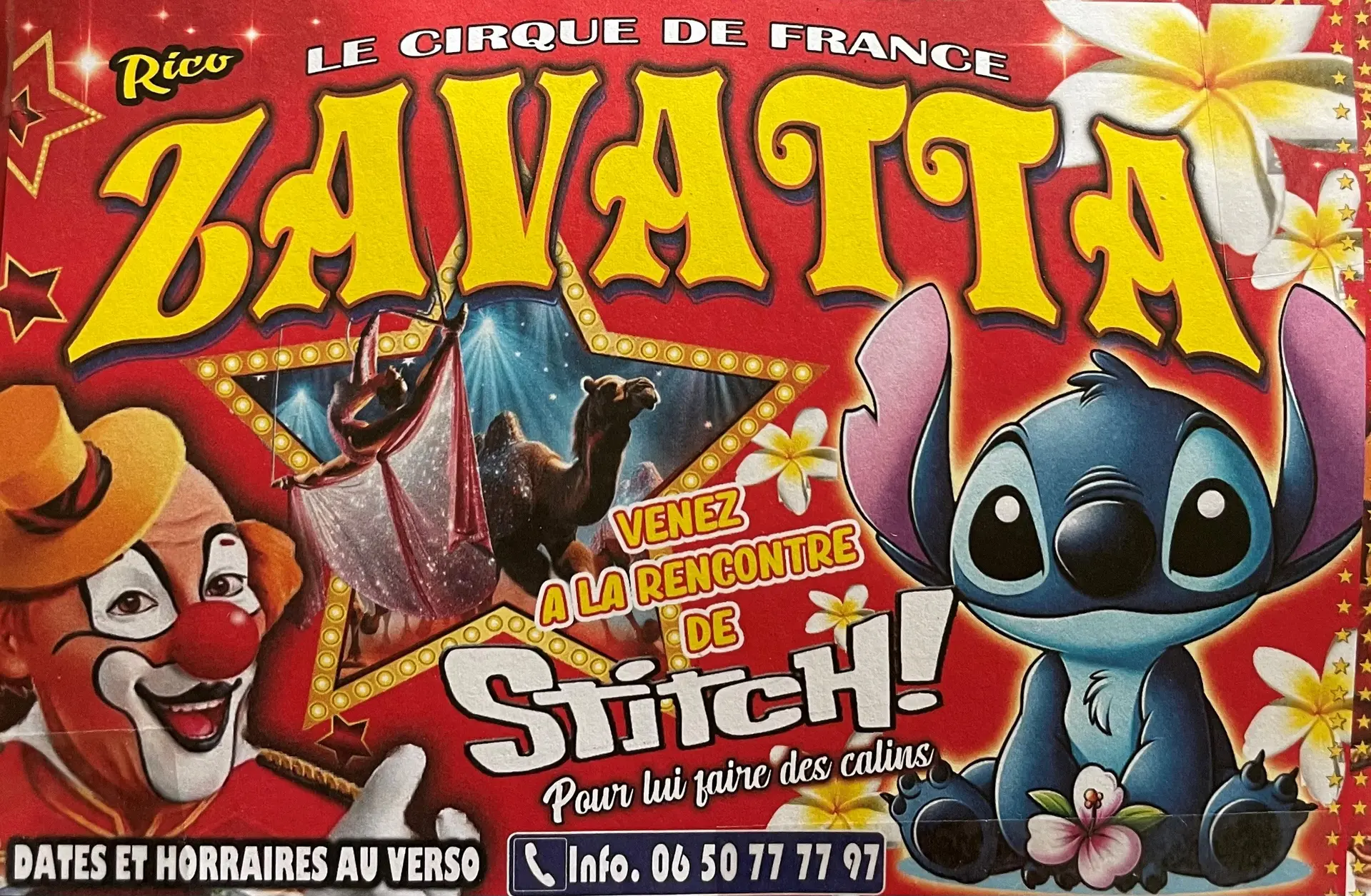 Affiche Cirque Rico Zavatta