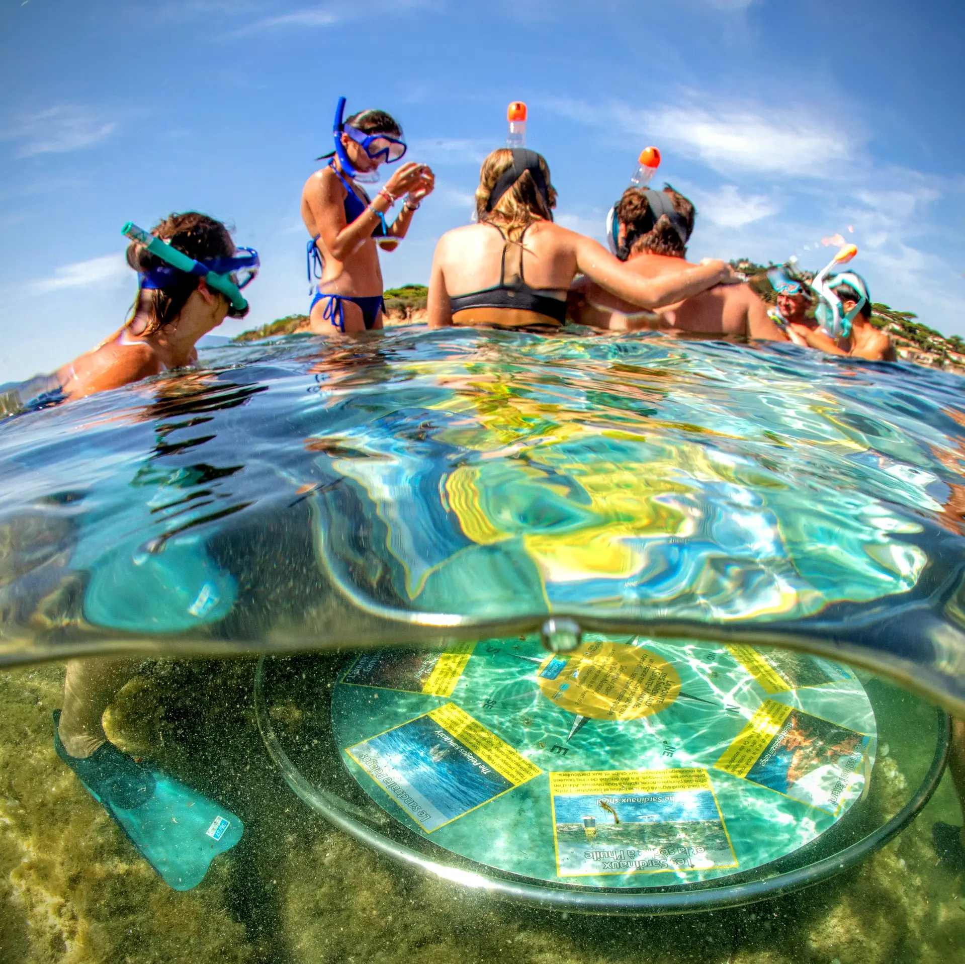 Balade aquatique à la Pointe des Sardinaux