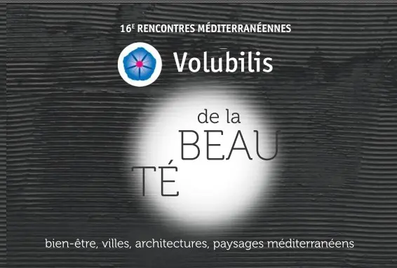 16e Rencontres euro-méditerranéennes de Volubilis  - De la beauté_Avignon