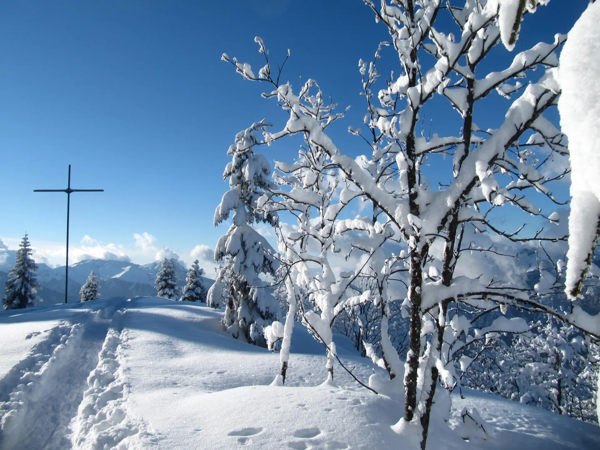 Sortie raquettes - Bureau des guides Thônes