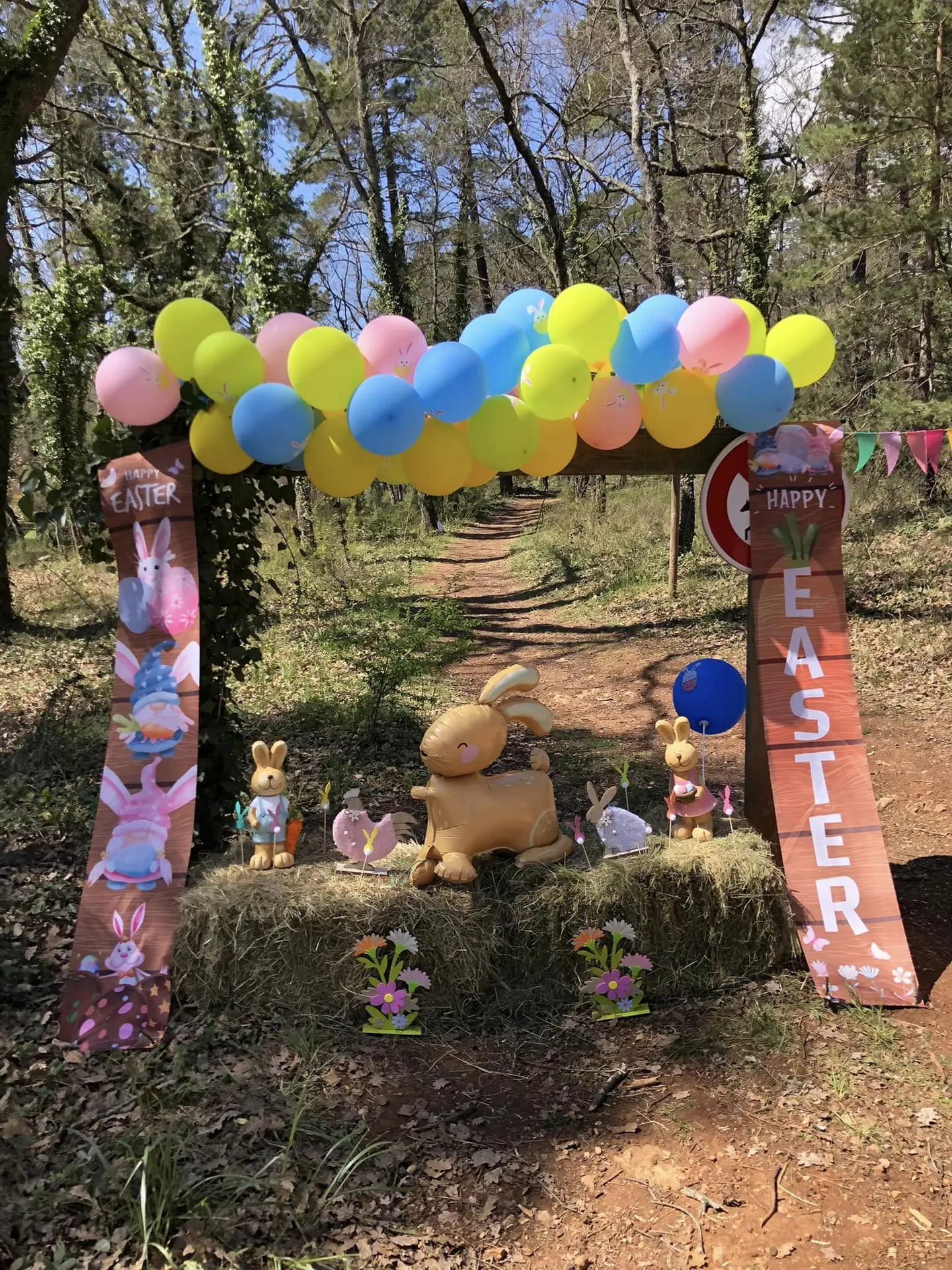 Dans les bois de Callian