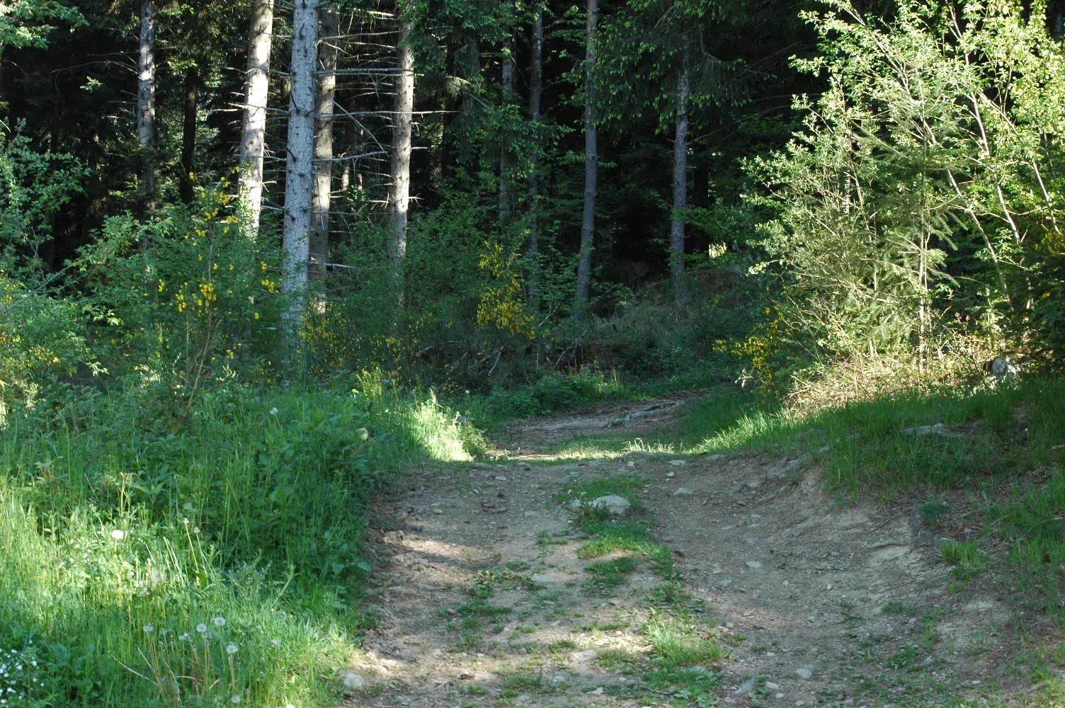 chemin de randonnée
