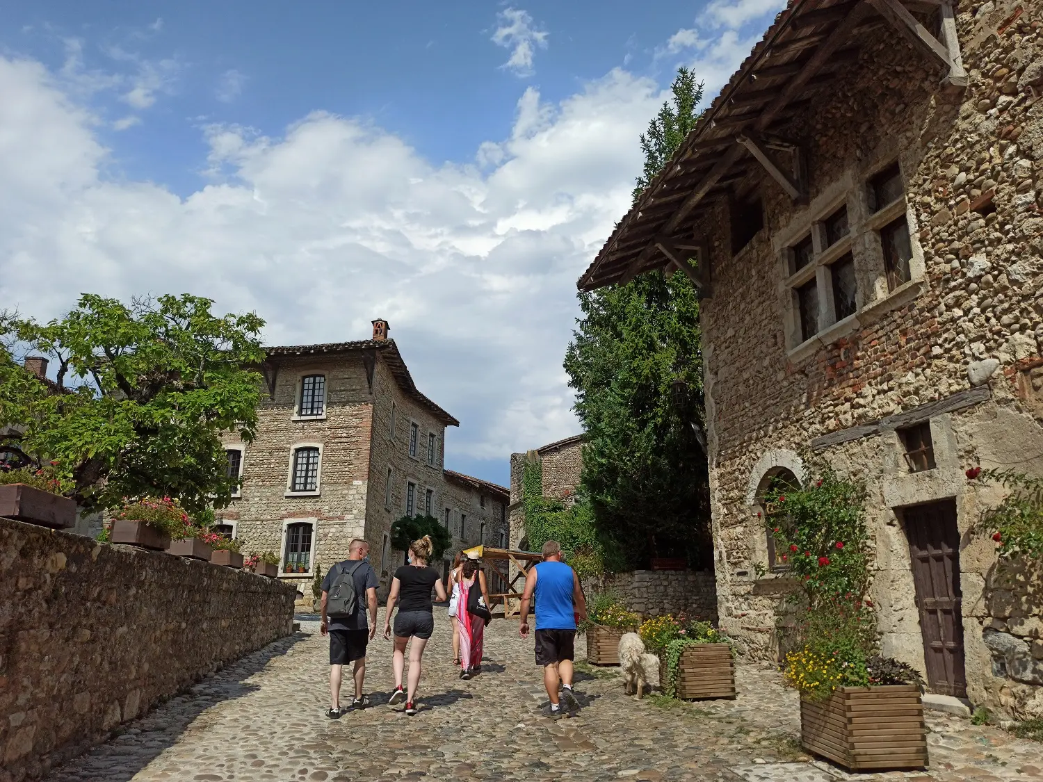 visite guidée de la cité médiévale