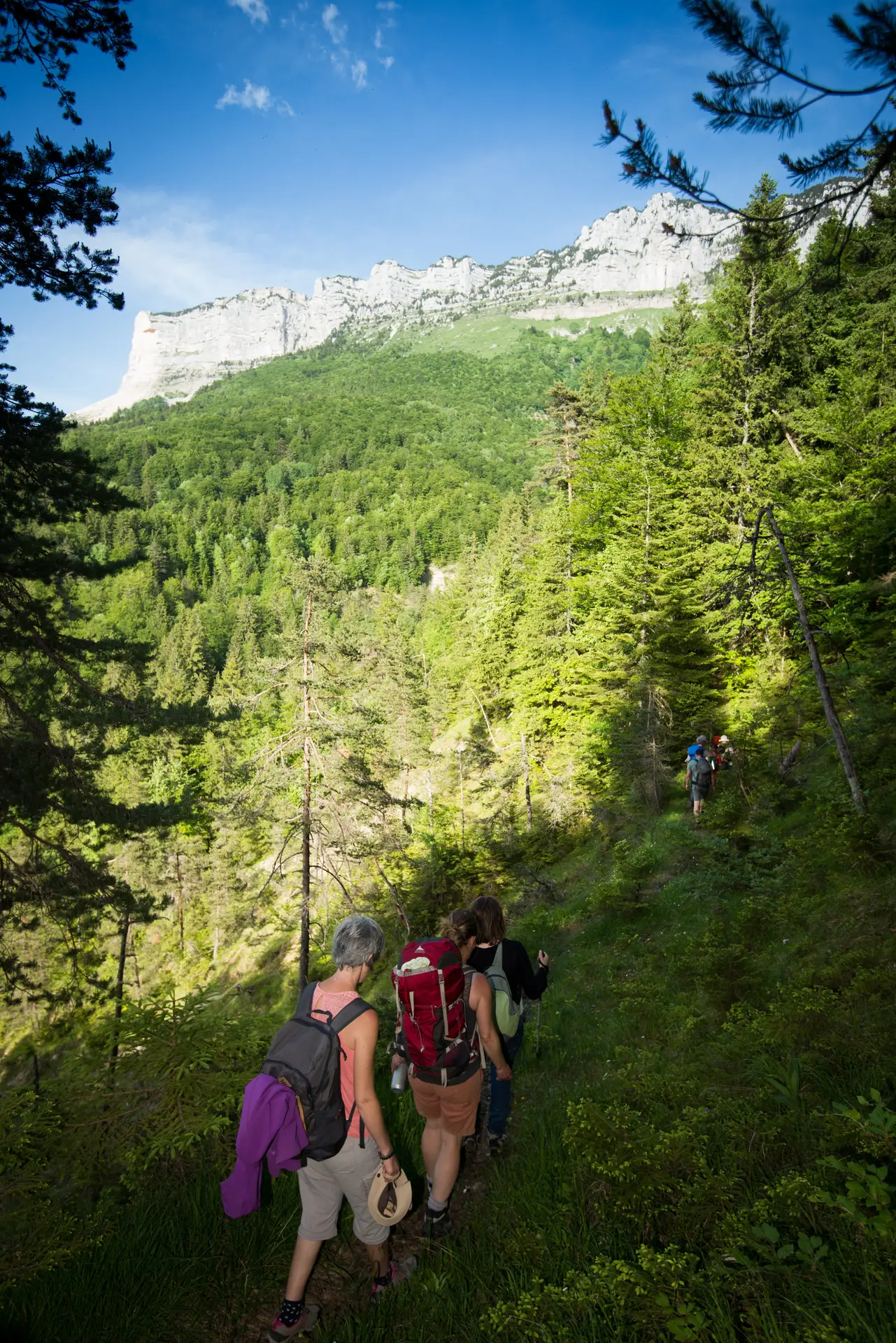 Groupe en randonnée