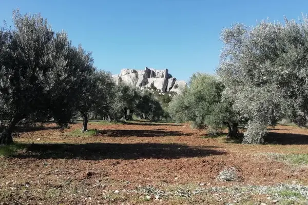 Toute la Provence en un jour