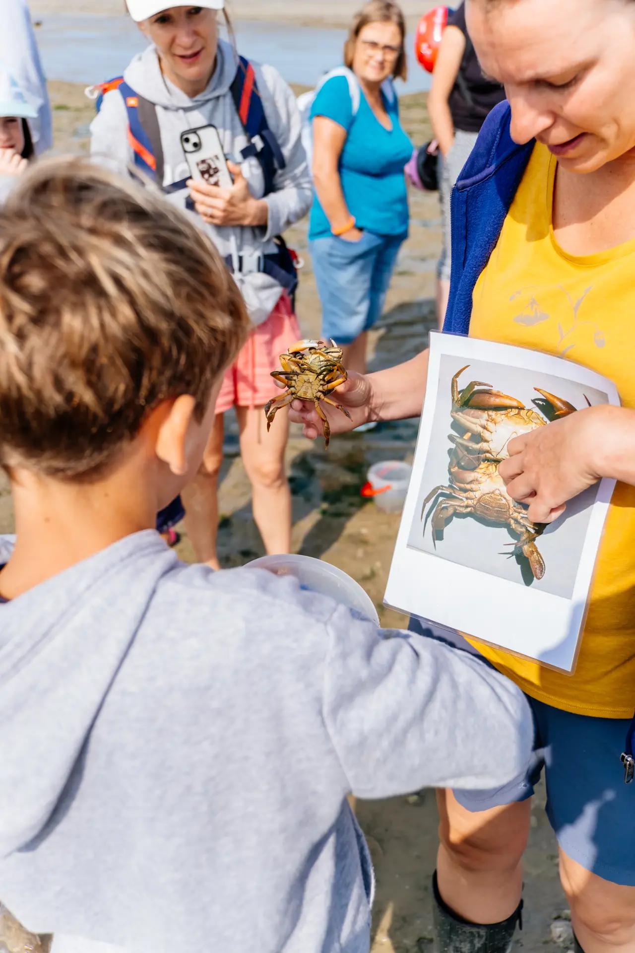 Explications théoriques par la guide pendant la visite guidée Coquillages et crustacés à Châtelaillon-Plage