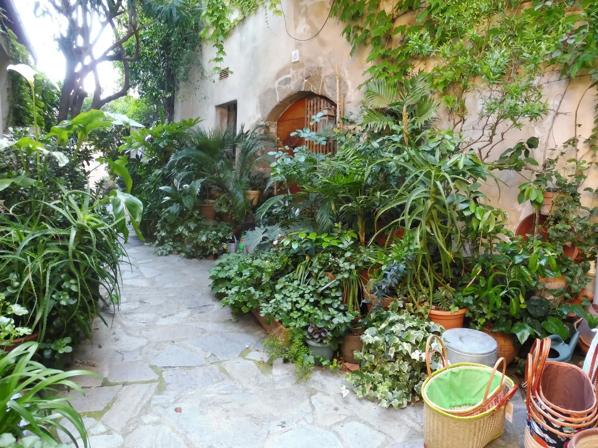 OTC Ramatuelle