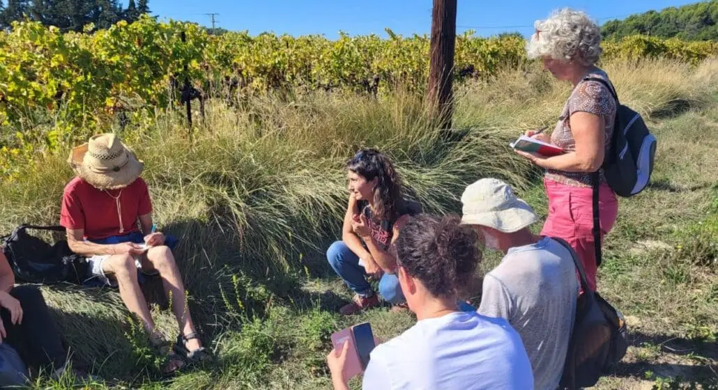 Balade découverte des plantes sauvages et médicinalesà l'Etang de La Bonde_Cabrières-d'Aigues