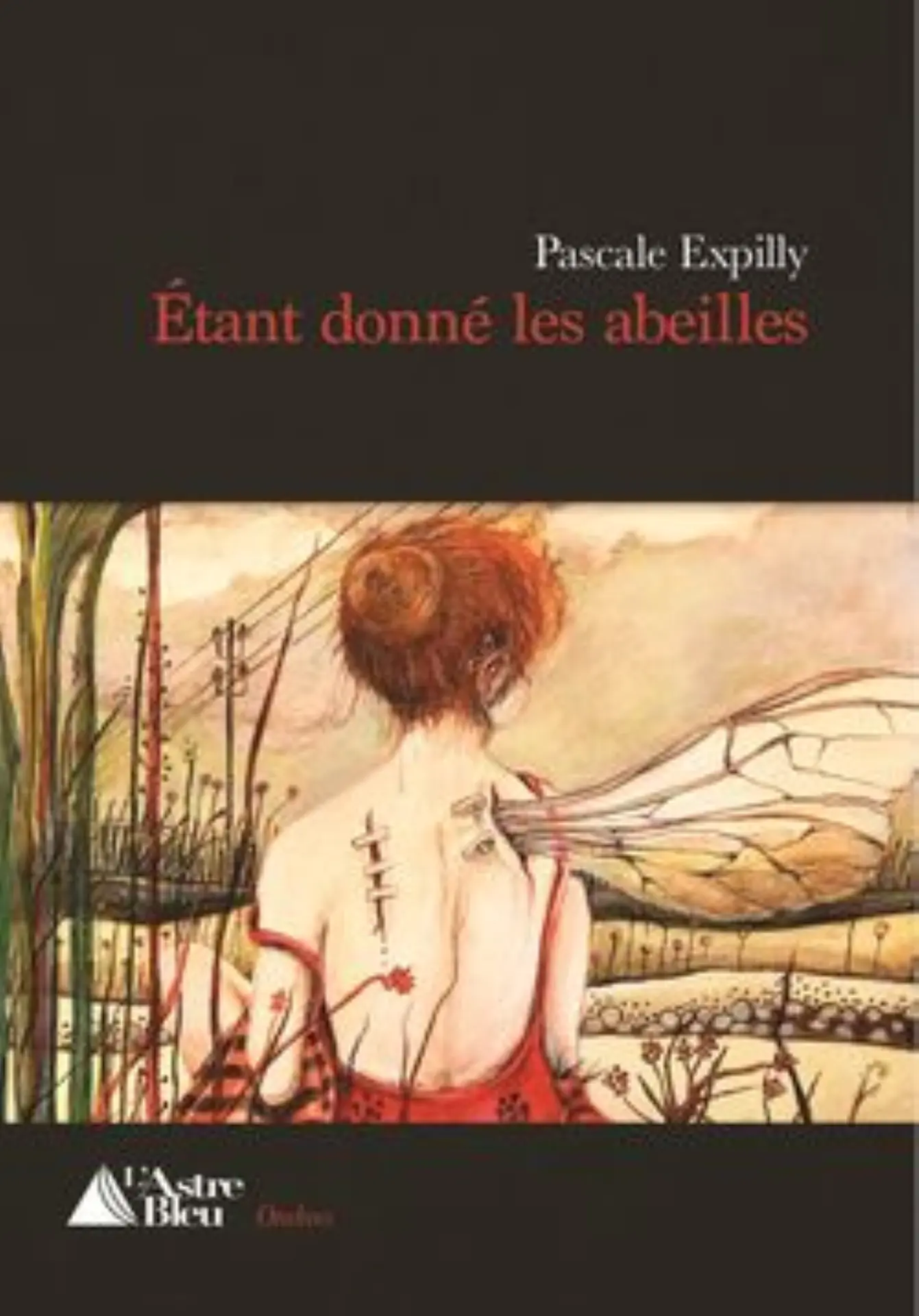Pascale Expilly - Etant donné les abeilles