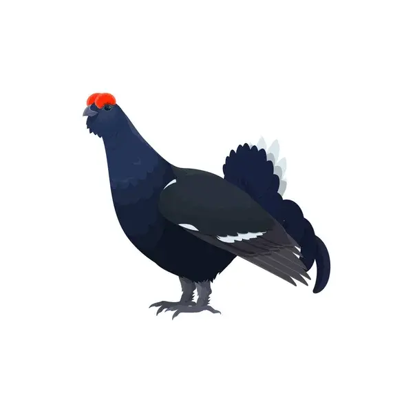 Atelier créatif les oiseaux de la montagne