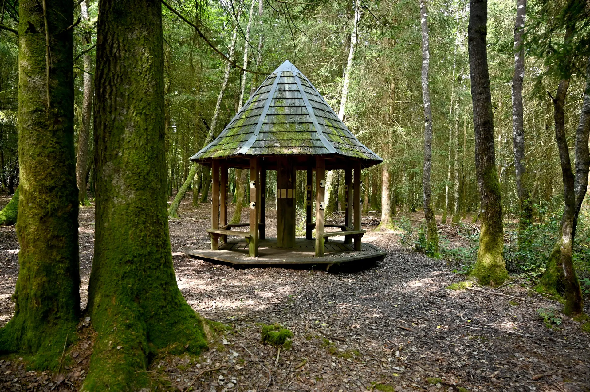 Sentier poésie