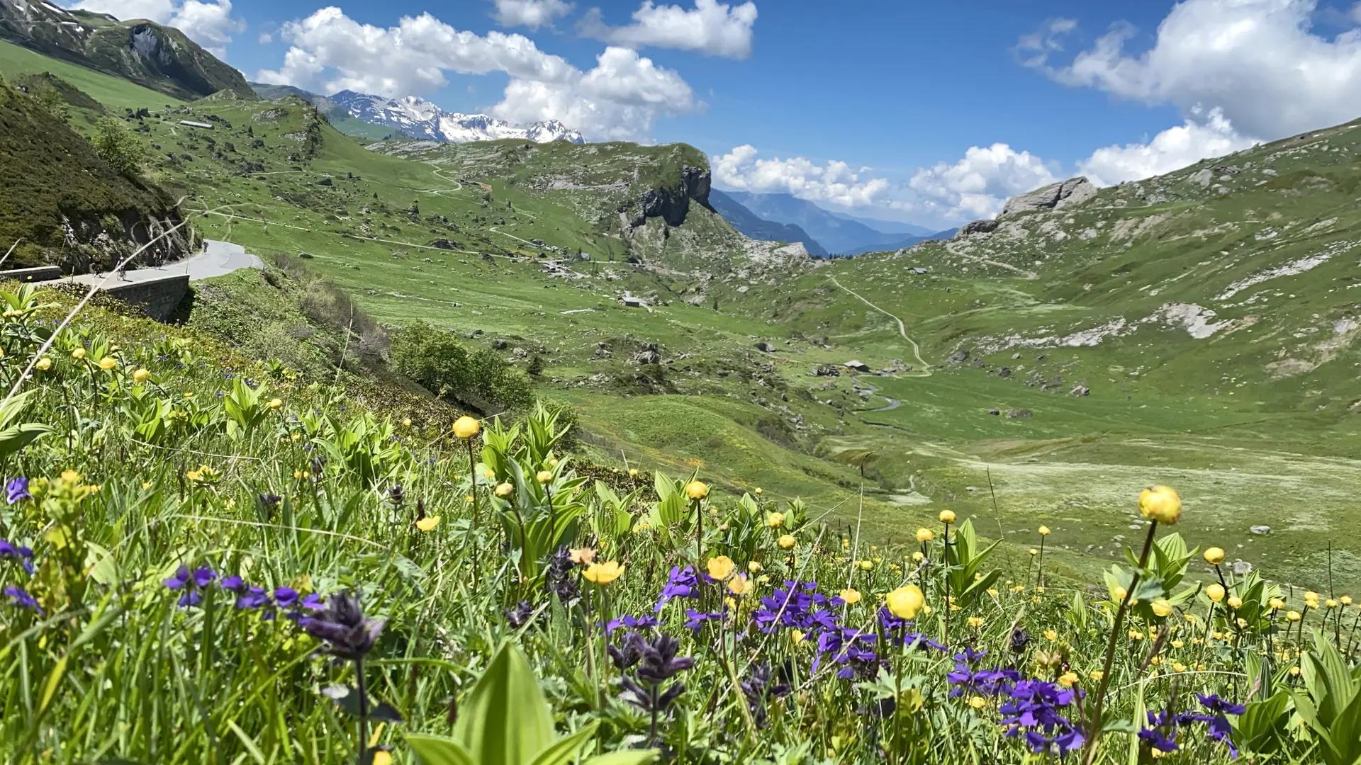 Cormet de Roselend - Alpages