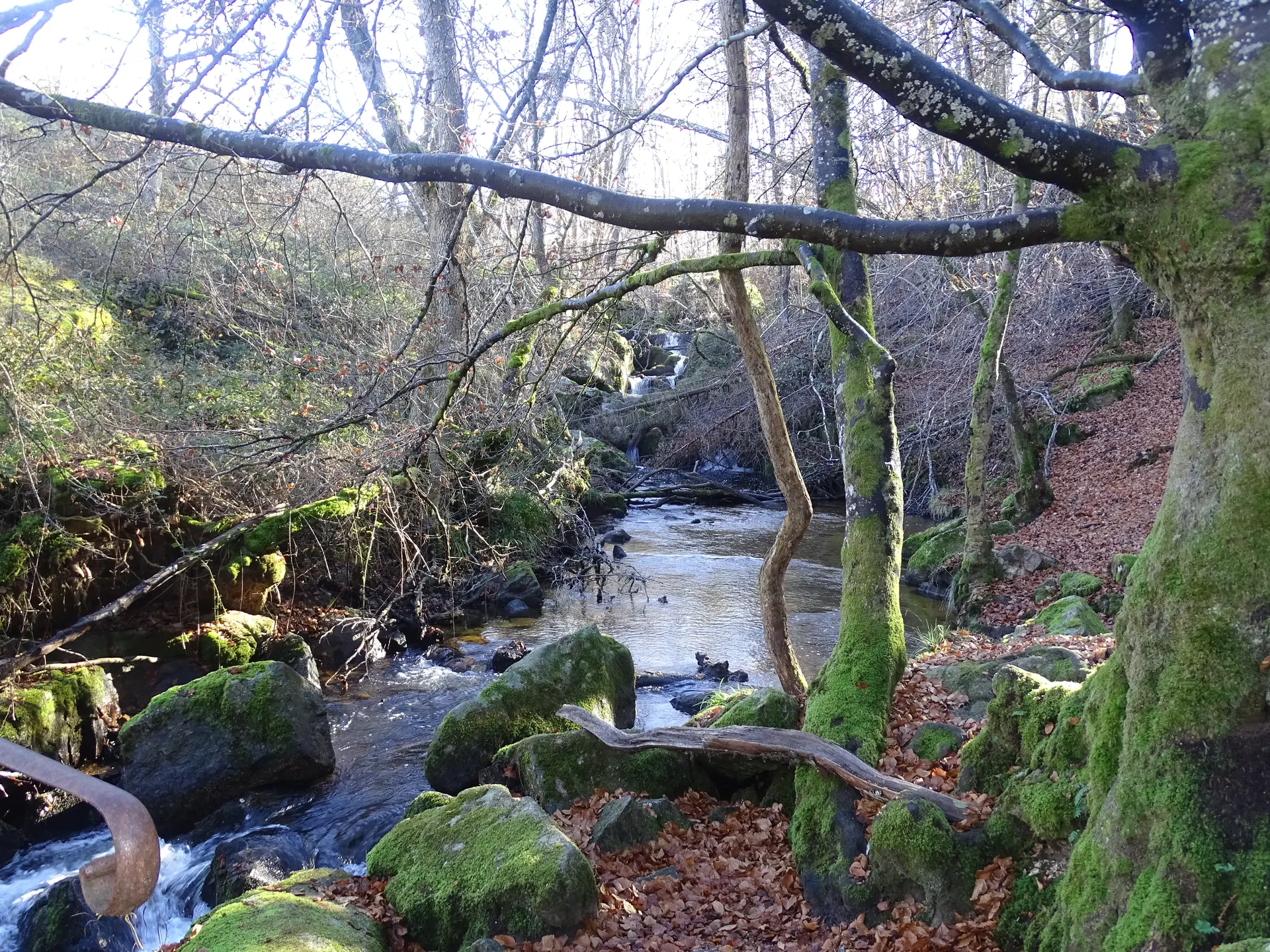 Vallon du Barbenan