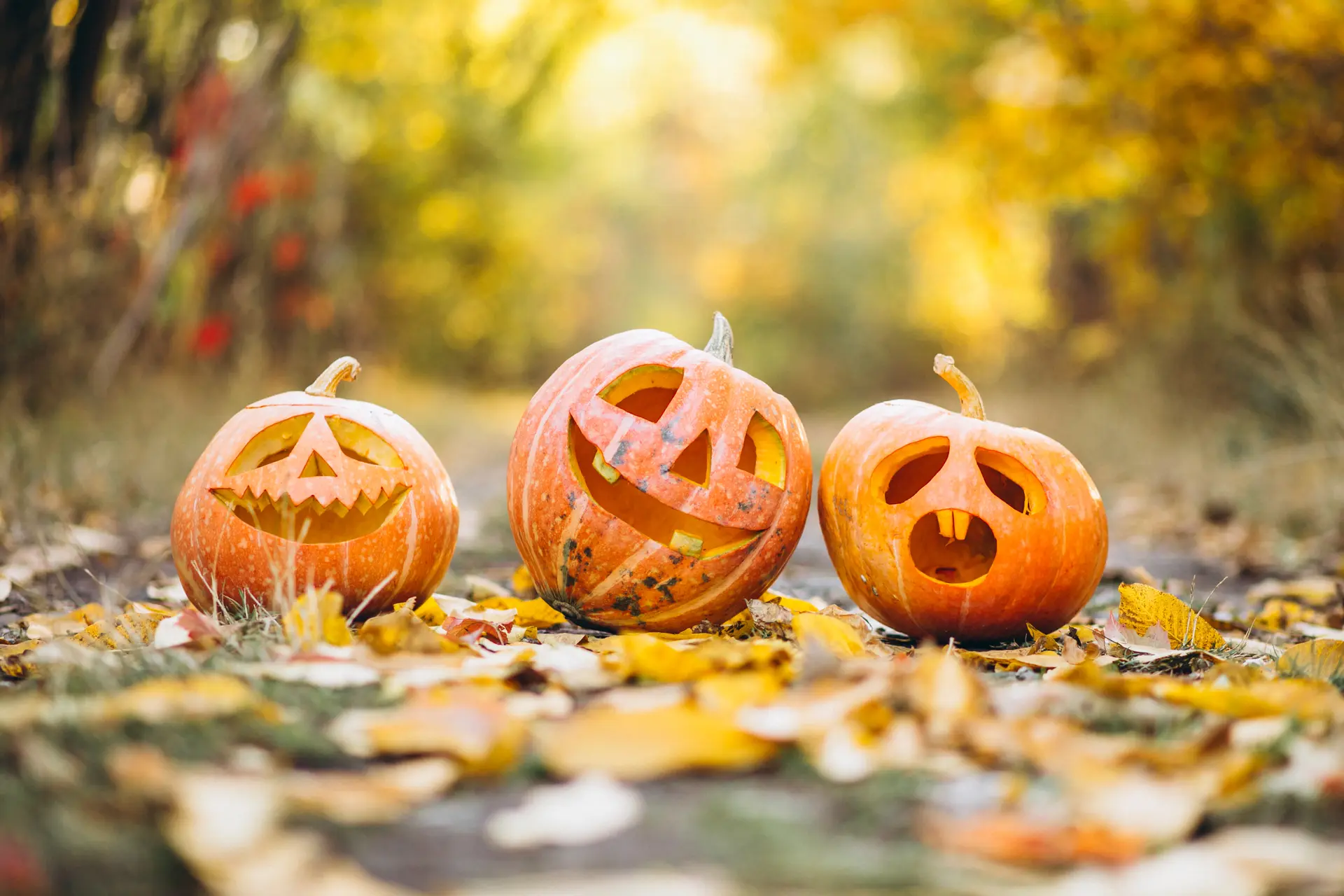 Les animations d'Halloween en Méditerranée Porte des Maures