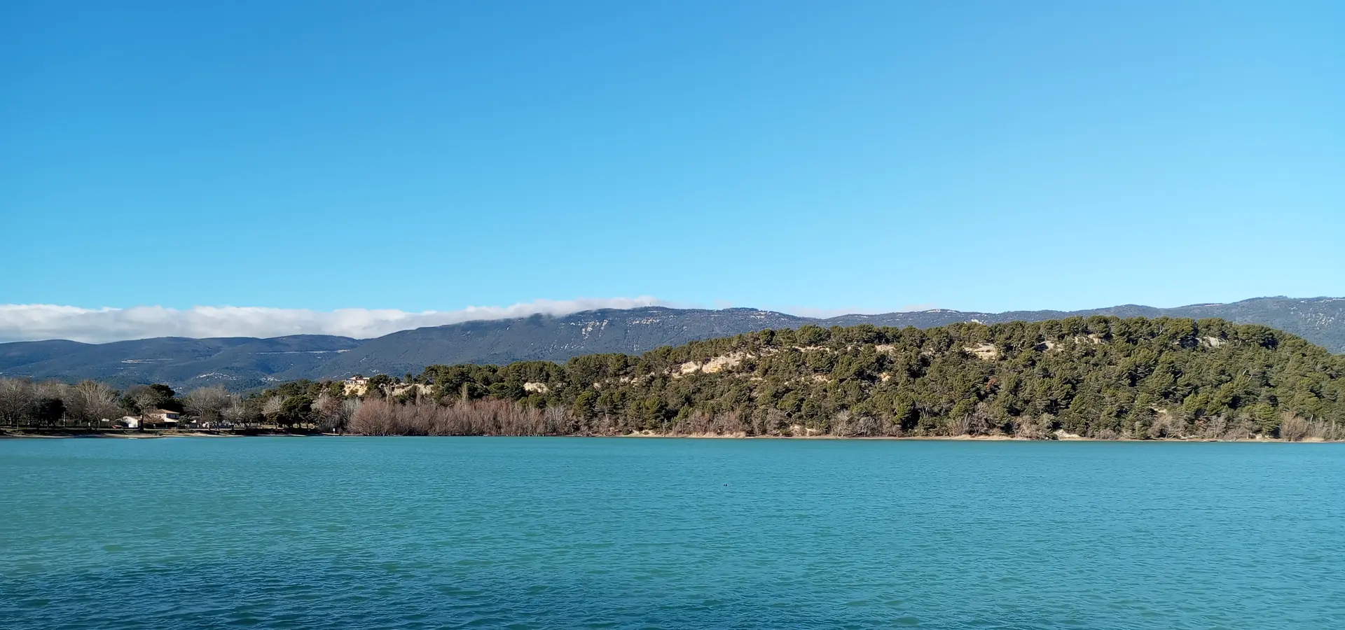 Balade découverte des plantes sauvages et médicinalesà l'Etang de La Bonde_Cabrières-d'Aigues