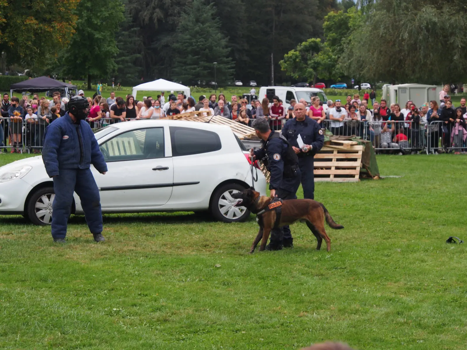 Journée du chien