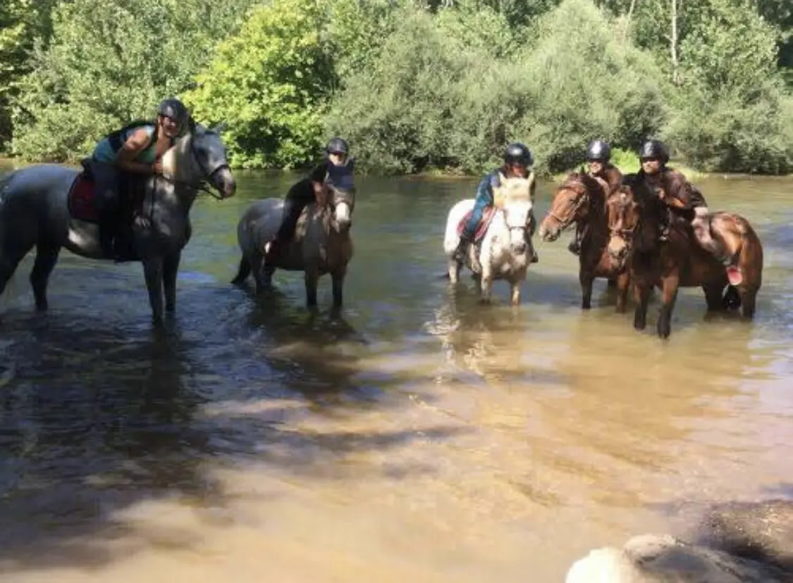 Stages centre équestre vacances d'avril_Villemade