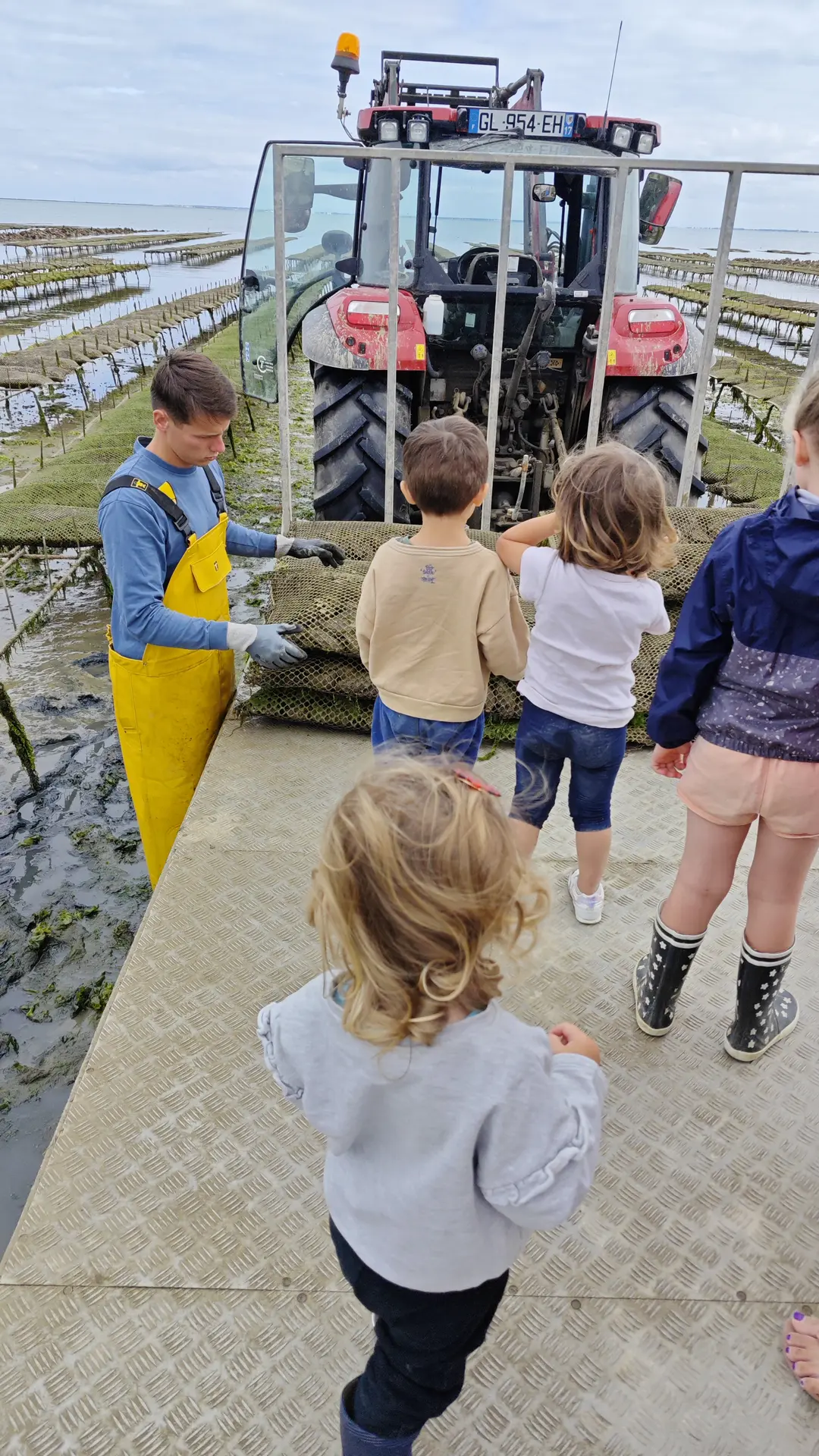 Visite des parcs à huîtres