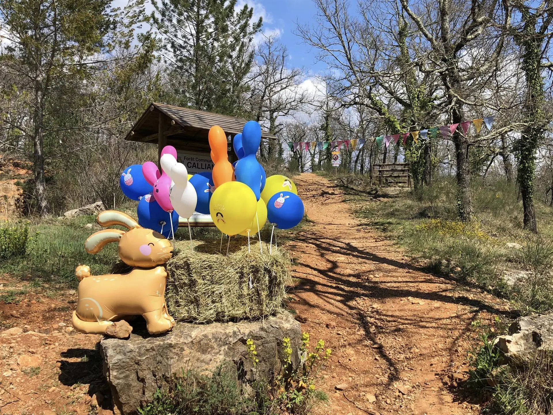 Dans les bois de Callian
