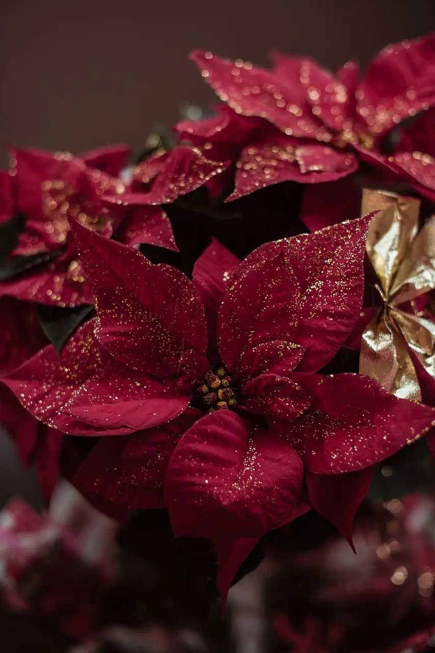 Atelier décoration de Noël à Figuière