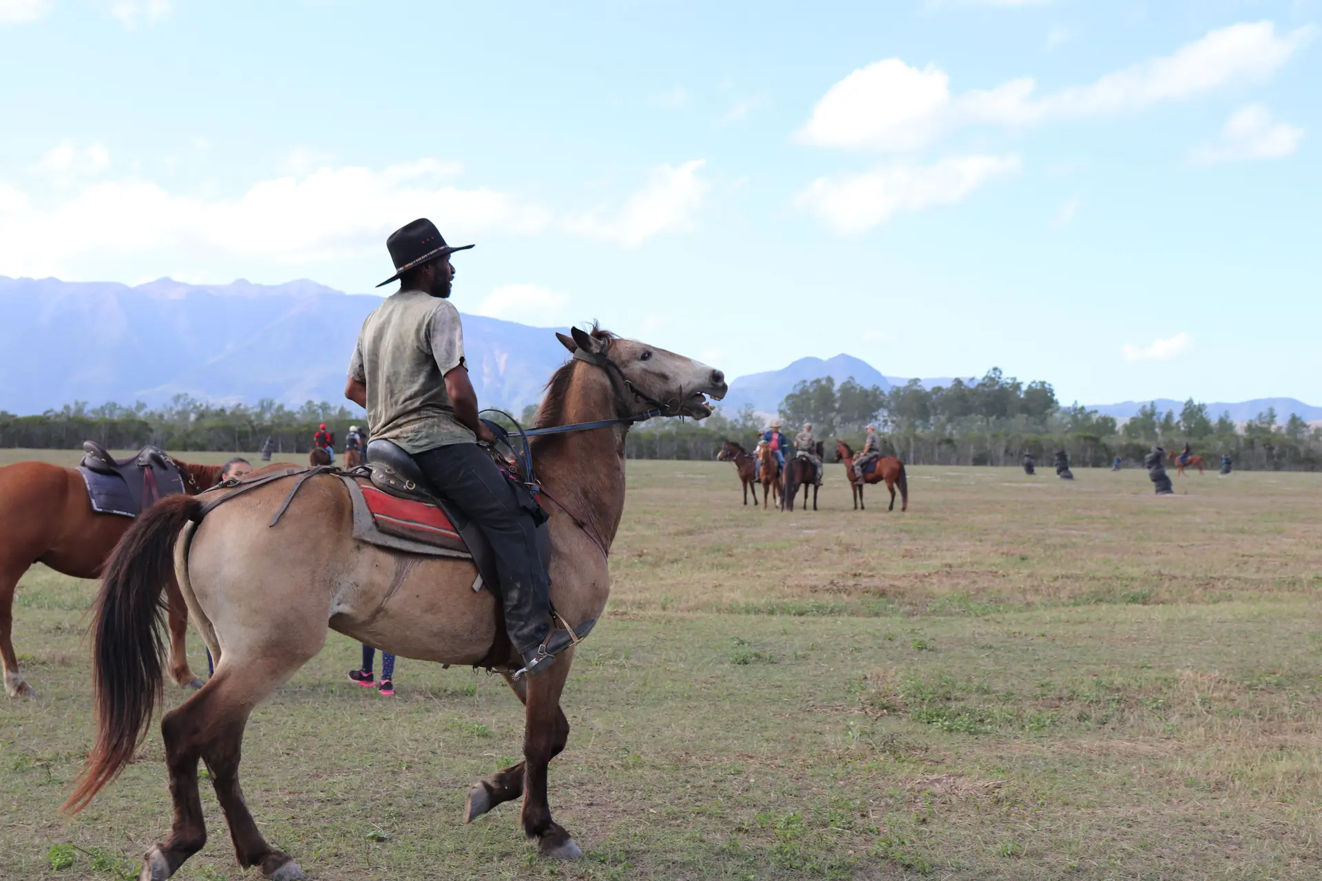 cheval, foire, agricole