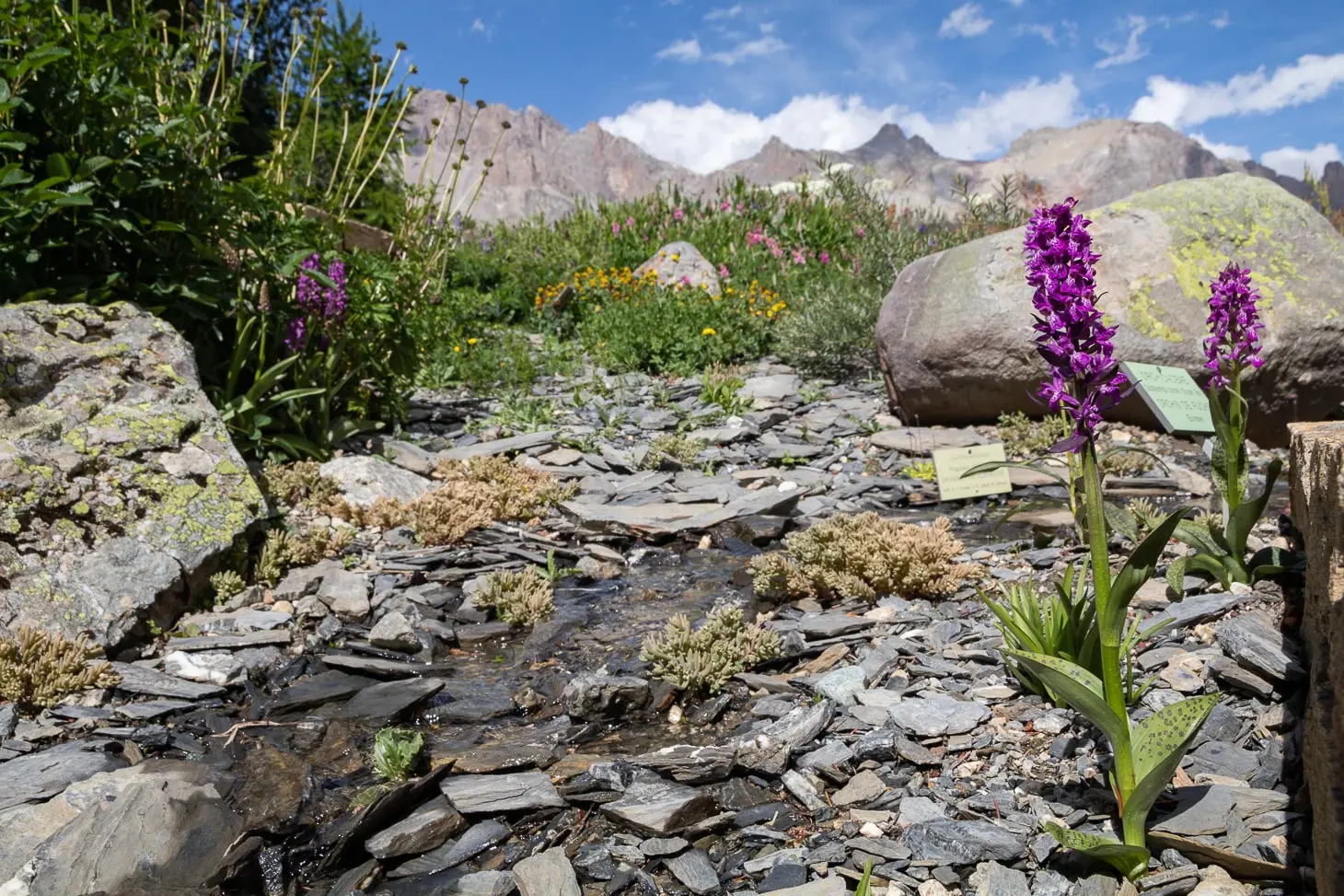 Un jardin entre mares et cours d'eau