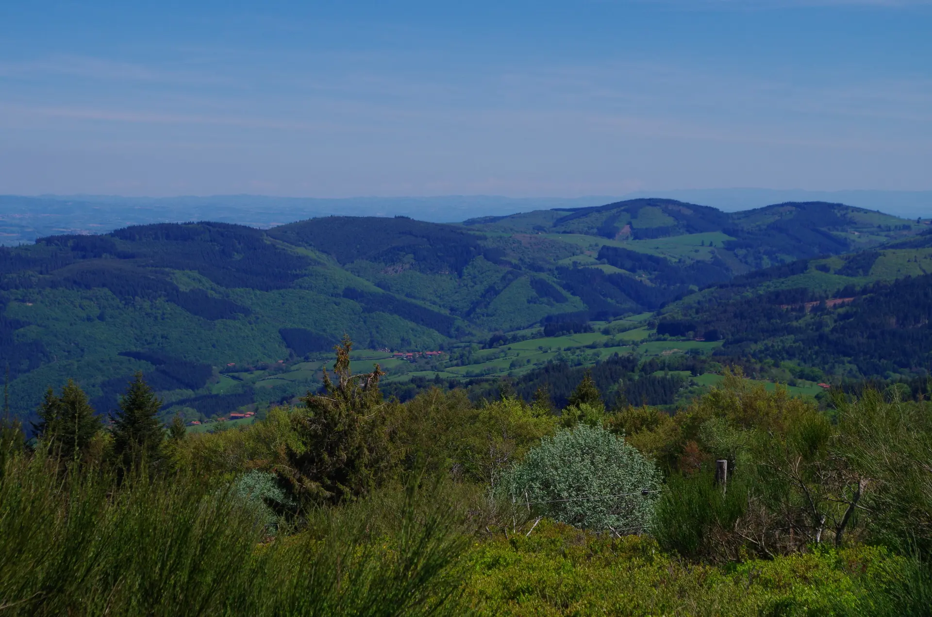 paysage