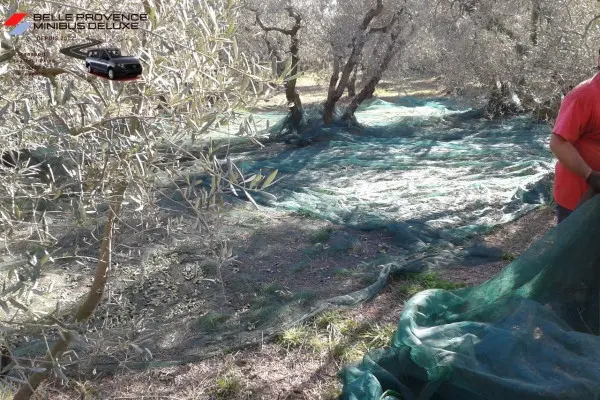 Provence according to your desires (driver & private van)