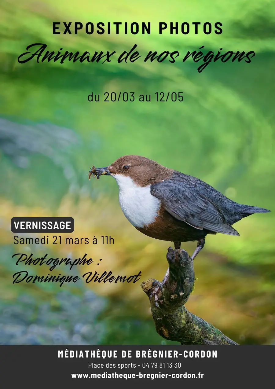 Exposition photos Animaux de nos régions_Brégnier-Cordon