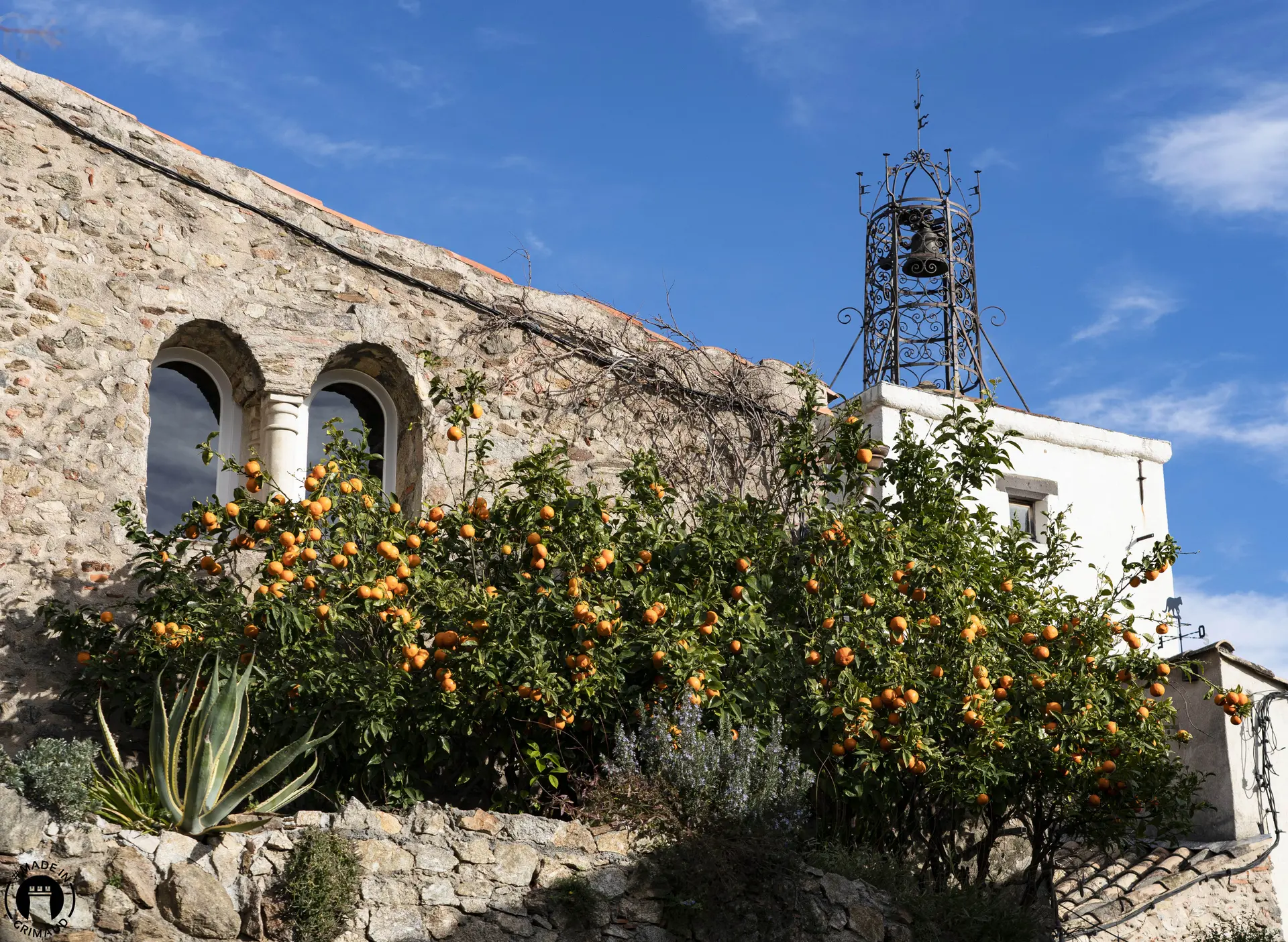 Agrumes dans Grimaud