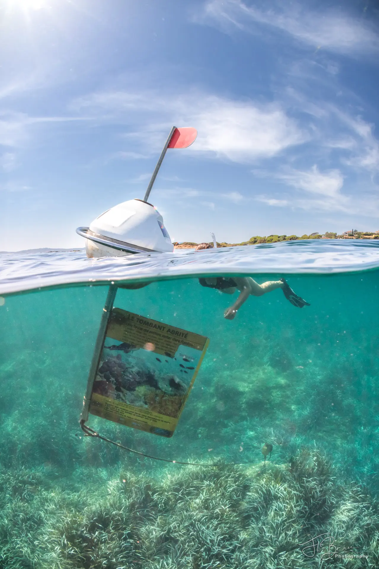 Balade aquatique à la Pointe des Sardinaux
