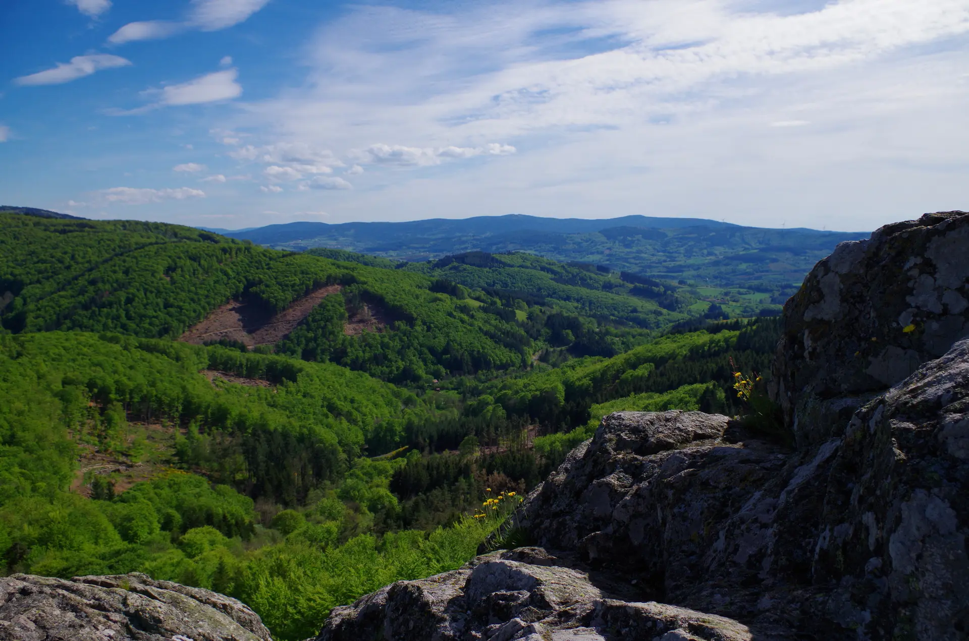 Paysage