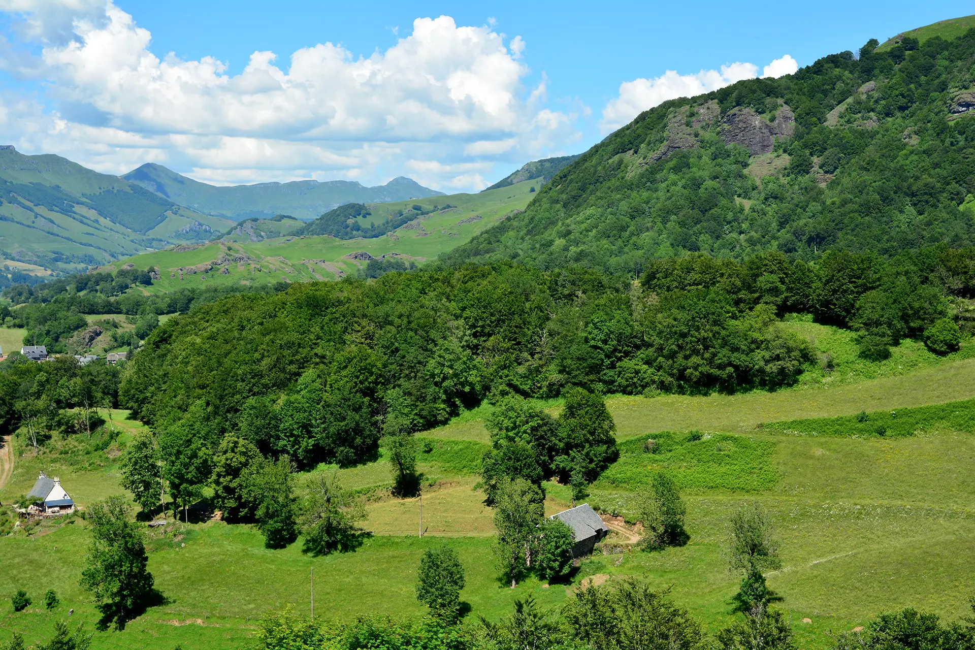 Point de vue