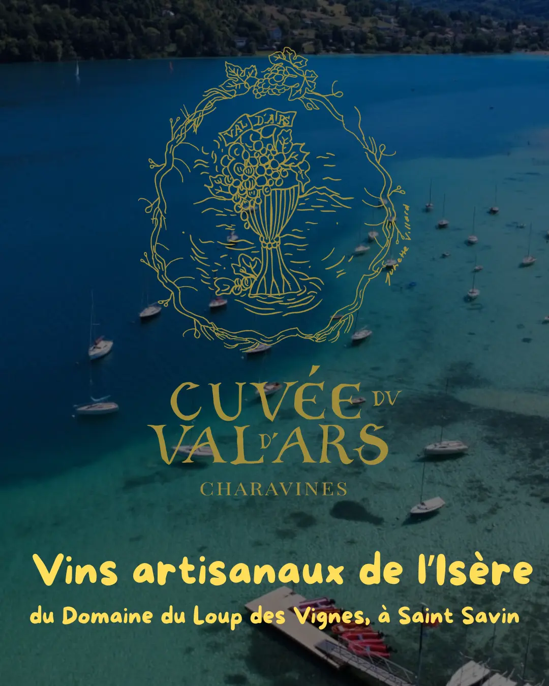 Dégustation de vins - Image