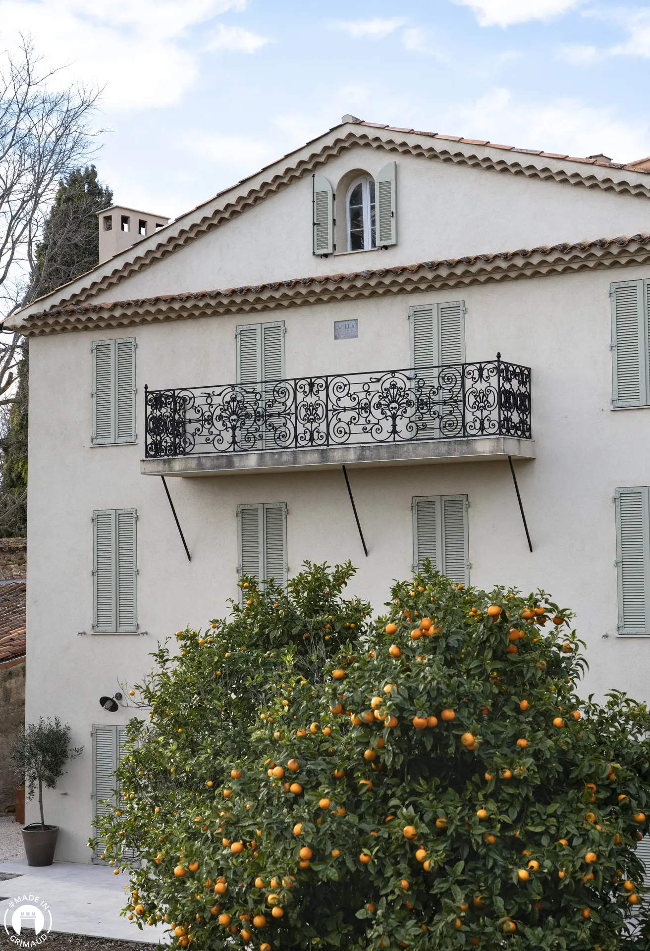 Agrumes dans Grimaud