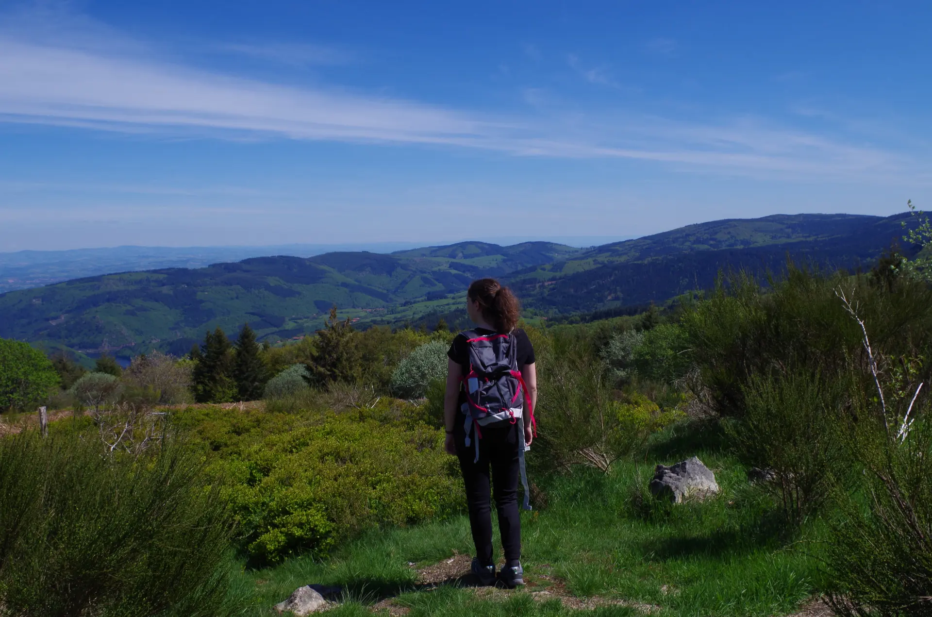 Paysage