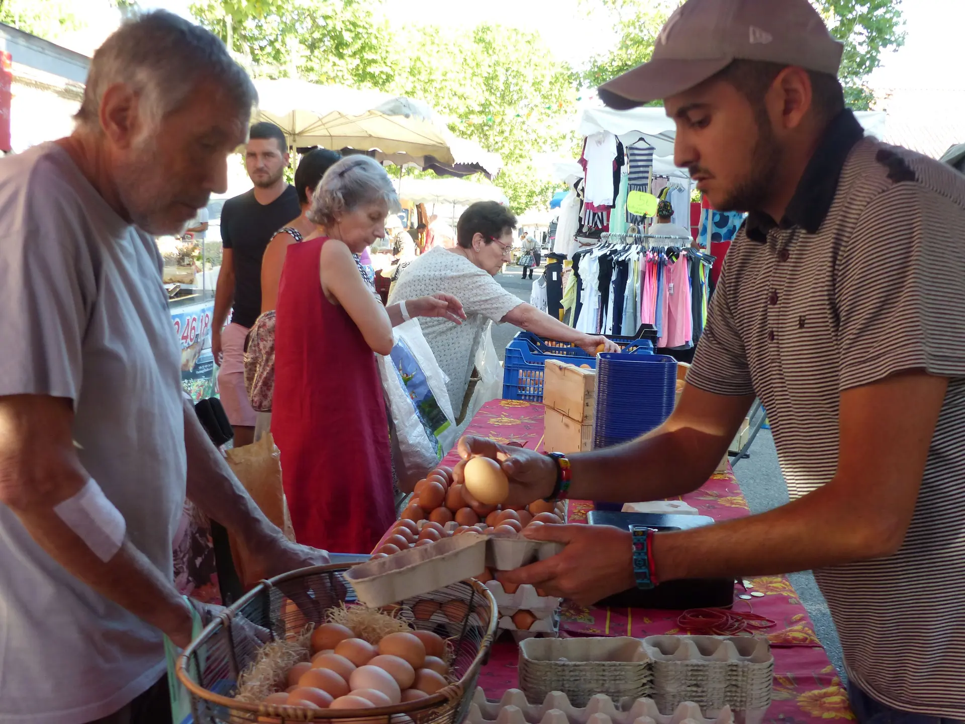 Marché du jeudi oeufs
