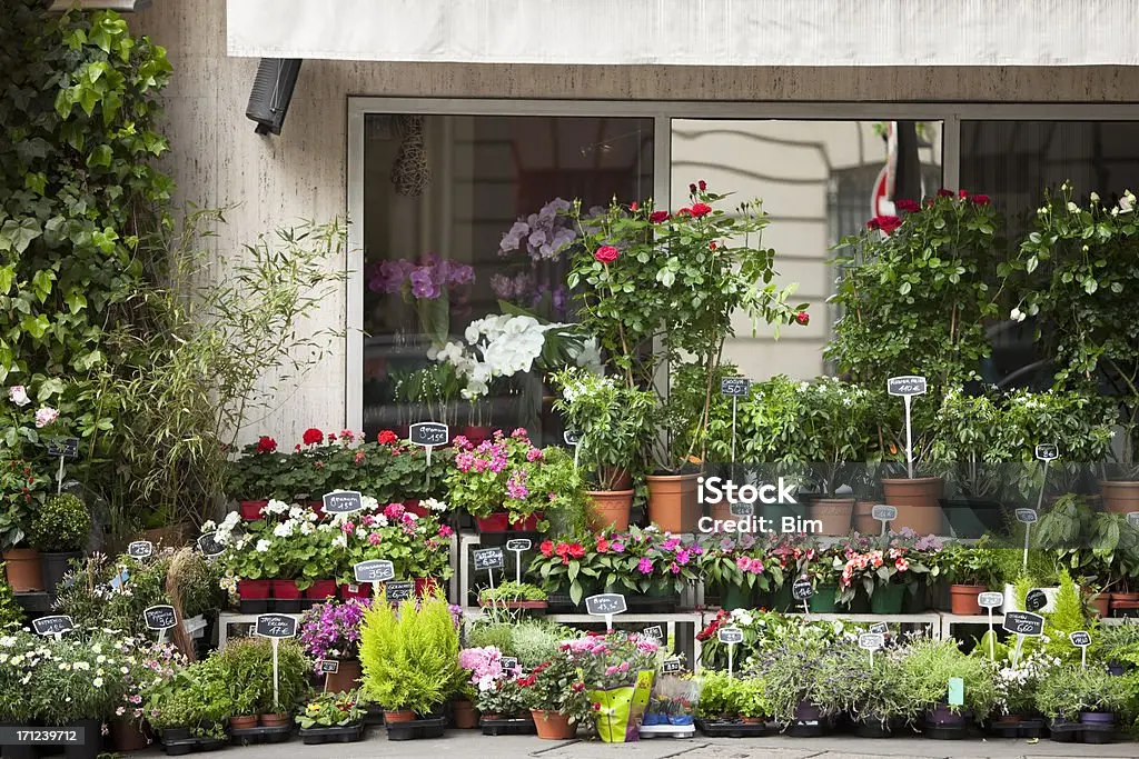 Marché aux fleurs