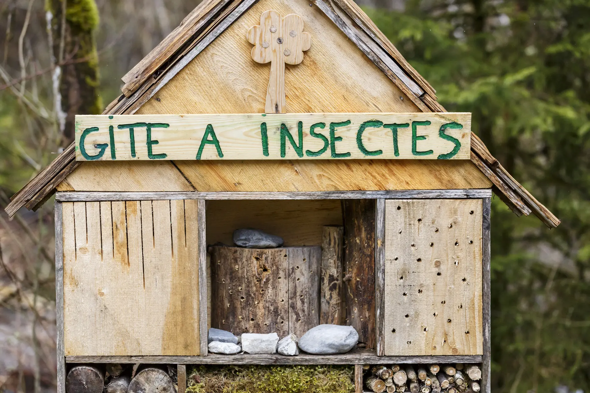 Le gîte à insecte