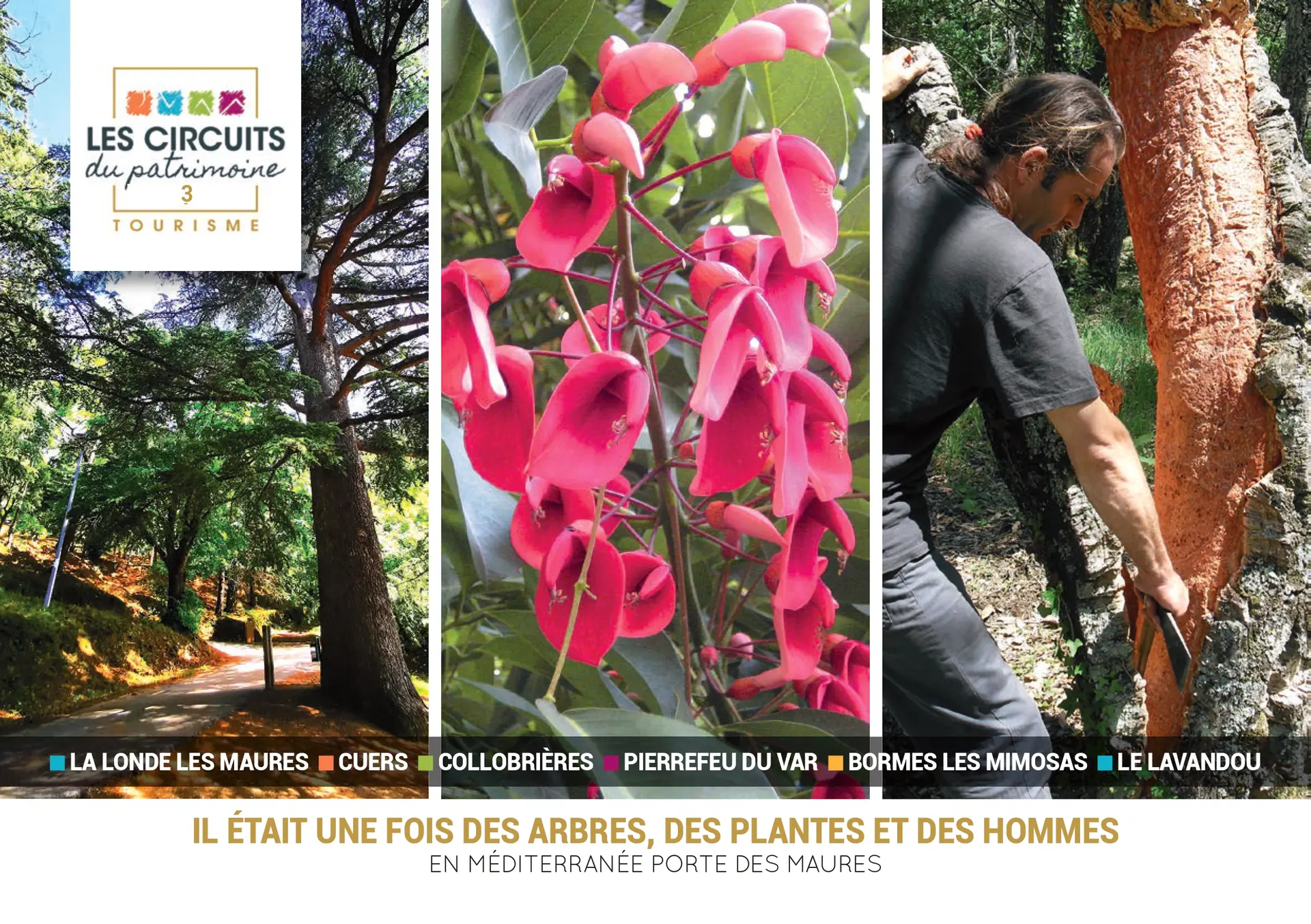 Tour 3: Once upon a time there were Trees, Plants and People