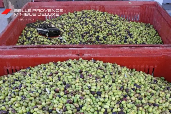 Provence according to your desires (driver & private van)