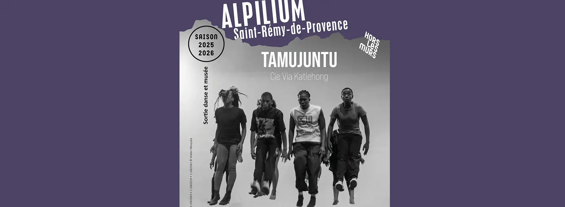 Alpilium : Tamujuntu_Saint-Rémy-de-Provence