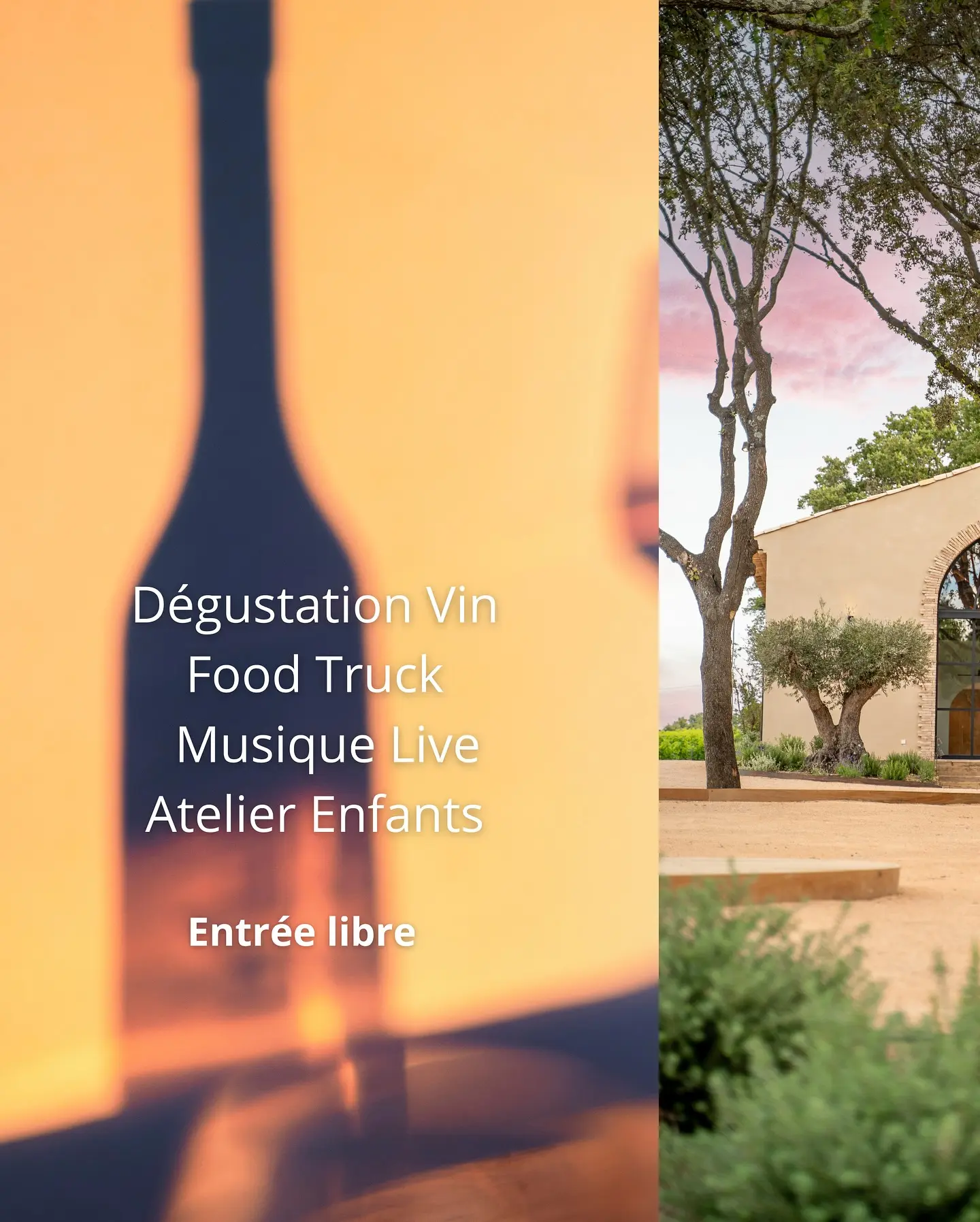 Sortie Millésime au Domaine Tropez