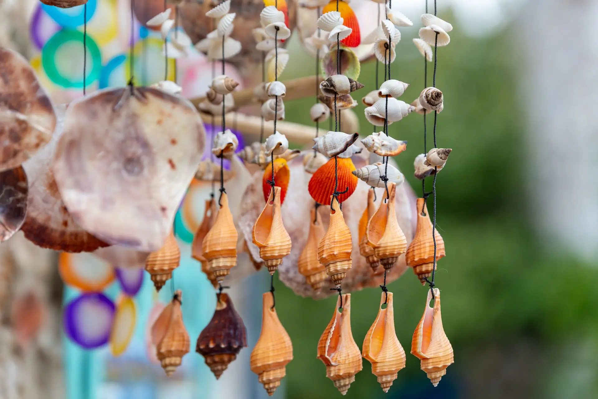 Carillon en coquillages