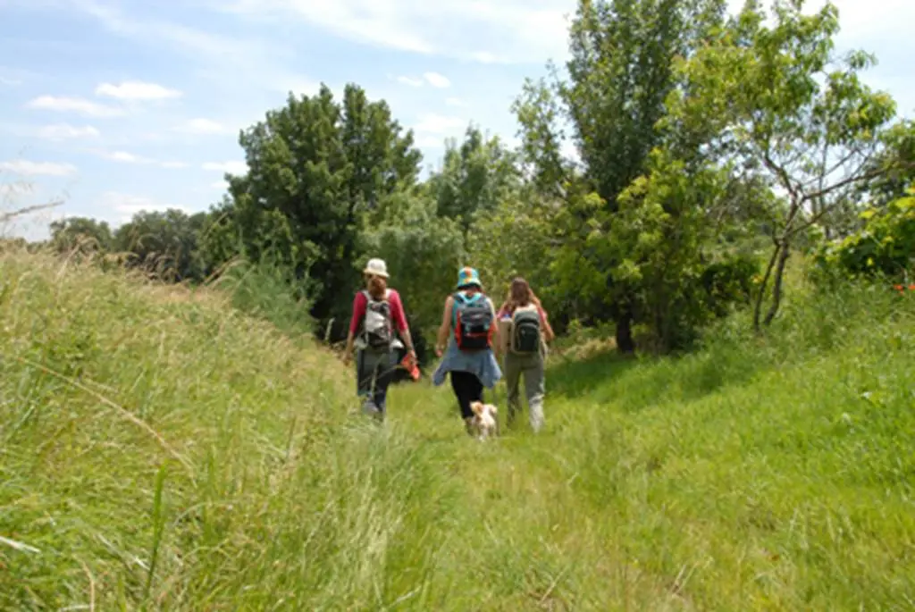 randonnée pédestre