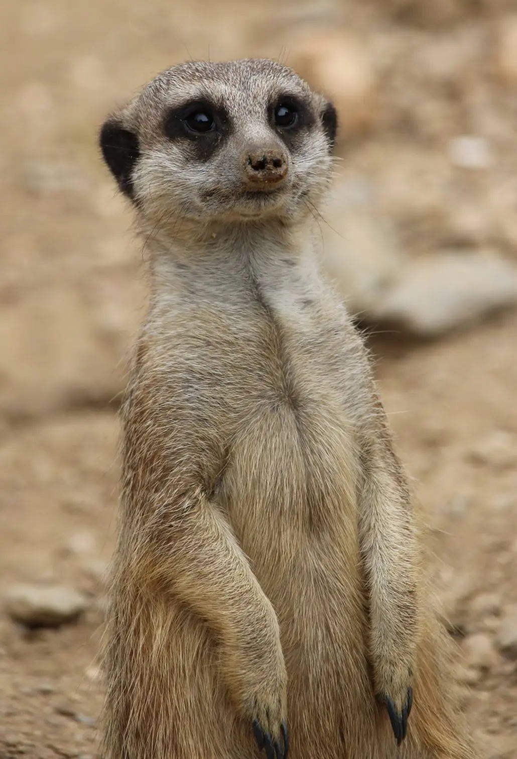 Visite guidée du jardin zoologique tropical à la Londe les Maures