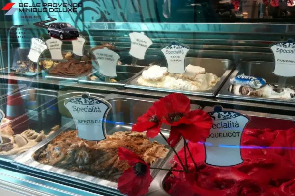 Provence according to your desires (driver & private van)