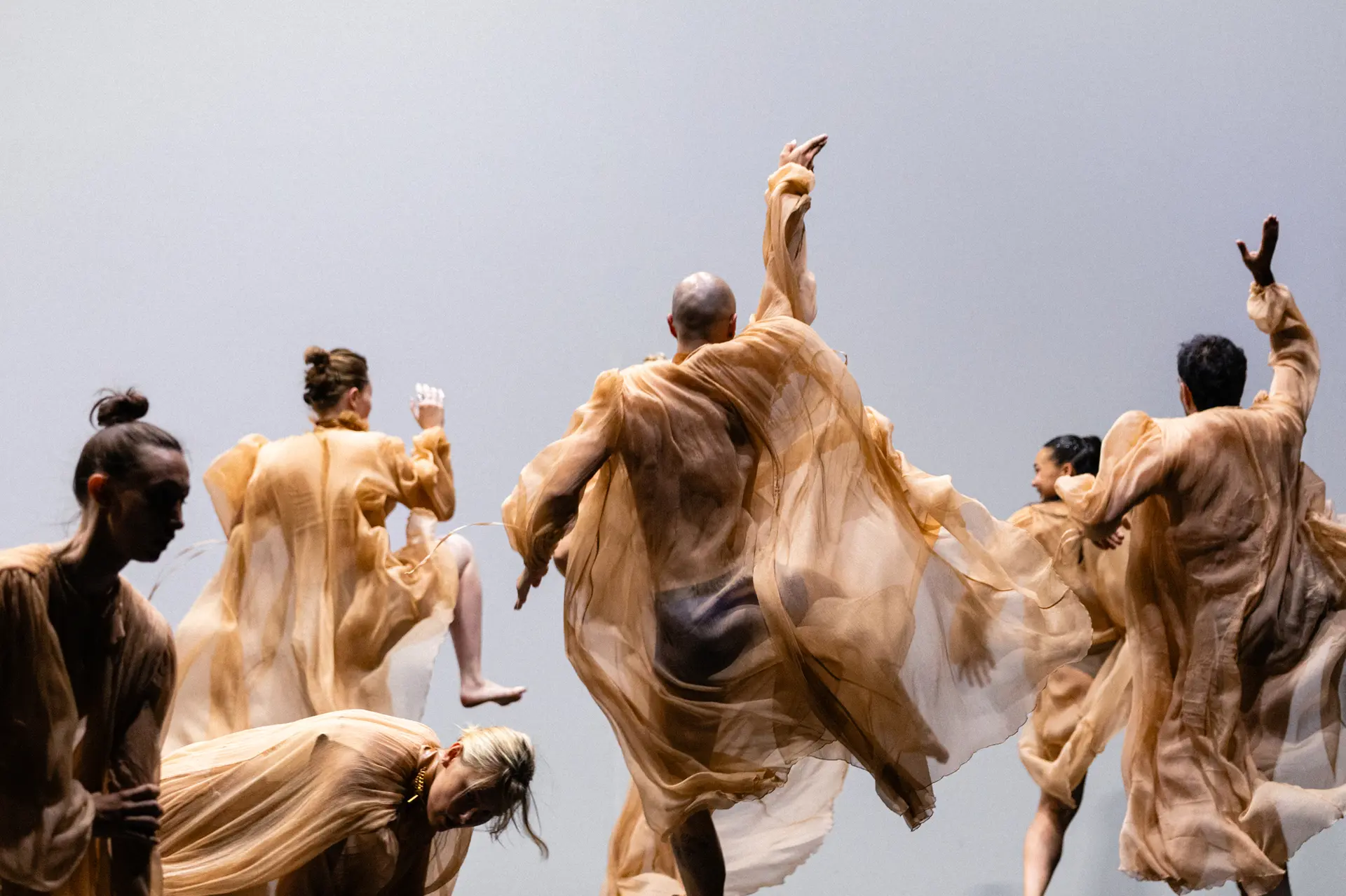 Emanuel Gat Dance - Cinq jours au soleil_Cannes