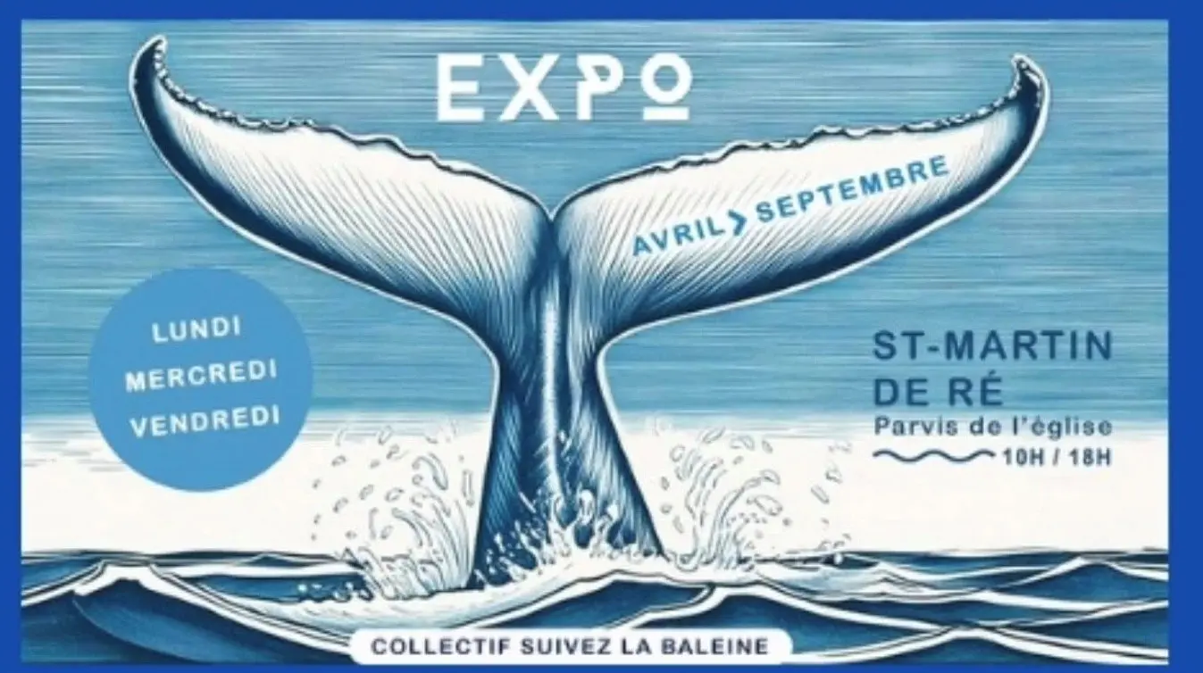 Kunstmarkt (Vorplatz der Kirche)_Saint-Martin-de-Ré